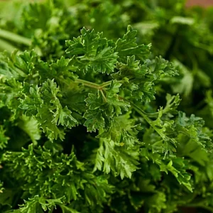 Parsley - Organic, 100 g