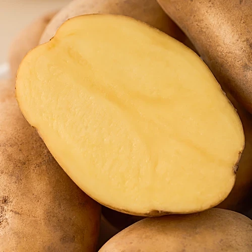 Potato Carisma - Lower Glycemic Index, (1 kg) - Image 4