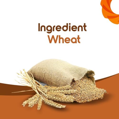 Indian Whole Wheat 5 Kg Rajdhani Chakki Fresh Atta - Image 3