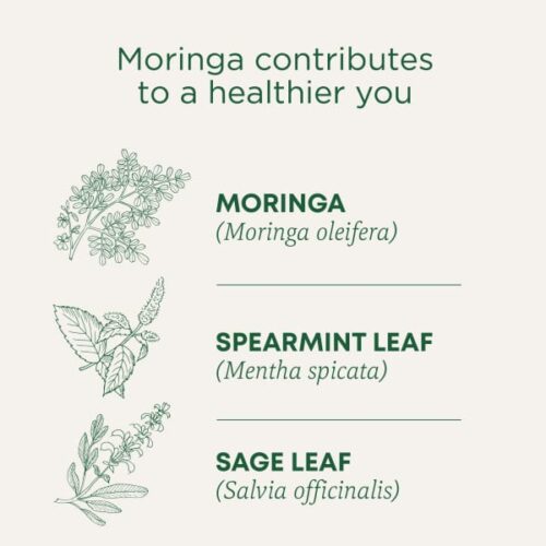 Organic Moringa, Caffeine Free, Traditional Medicinals, 16 Wrapped Tea Bags, 0.85 oz (24 g) - Image 4